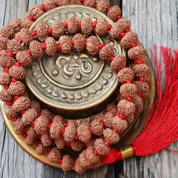 8 mm Naravno rjave barve Rudraksha 108 vozel kroglice ogrlico s Spominki Čustveno Umirjanje Jasper Zahvalni Dan, Božič Žareče